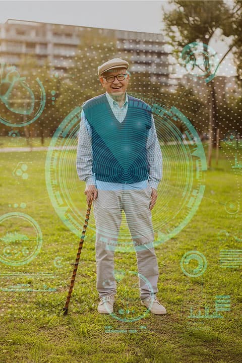 Dashboard SmartSenior — painel da família mostrando rotina, medicação e saúde do sênior